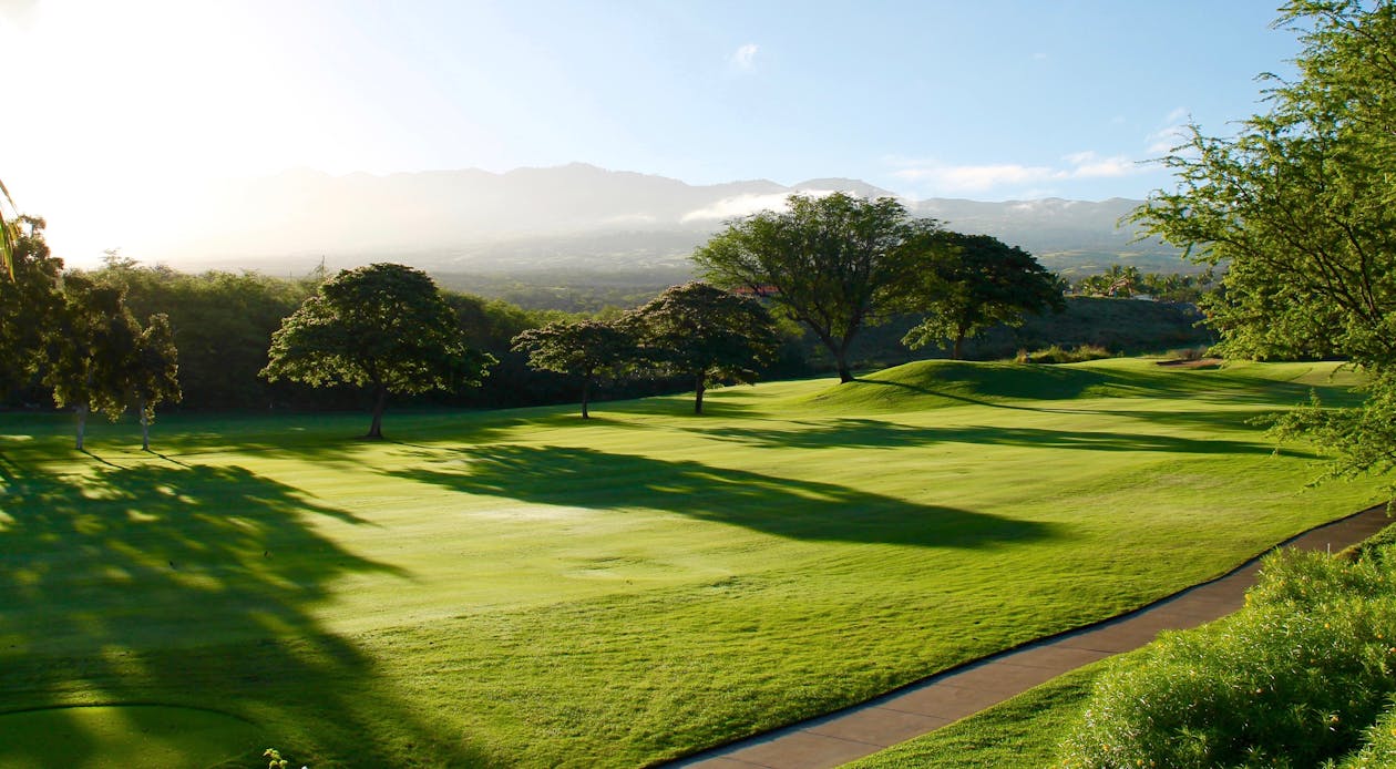 9 delikli antrenman golf sahası